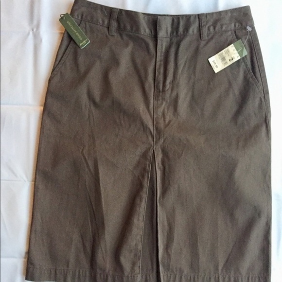 Eddie Bauer Mocha A-line Pleated Skirt sz 2 - Picture 1 of 6